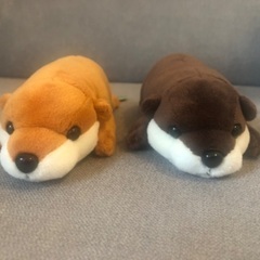 ぬいぐるみ　かわうそ