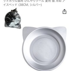 猫の寝るところ