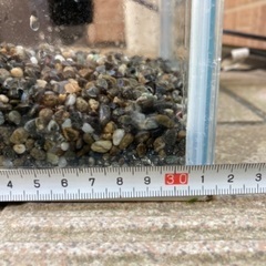 小型の水槽セット