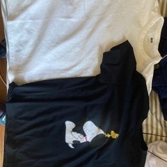 ユニクロのtシャツ