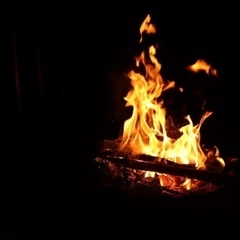 広葉樹キャンプ用薪7.5kg30cm【50束限定】の画像