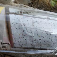 【未使用品】マドピタシート90*180　1枚の価格の画像