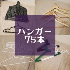 ハンガー　75本セット