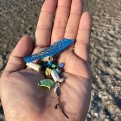 🐟海の福拾い2022・6.12🐟 - メンバー募集