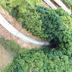 Nゲージ　ジオラマ　鉄道模型　オリジナル　森　山　河の画像