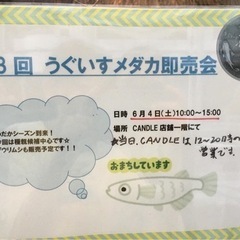 第三回うぐいすめだか無事終了する事が出来ました
