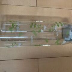 ◇HARIOの水差し　新品のお品です。の画像