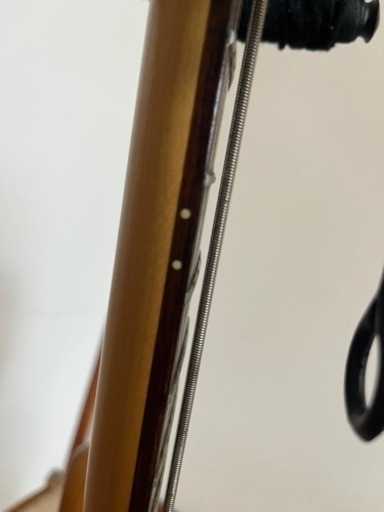 エレキベース Spector