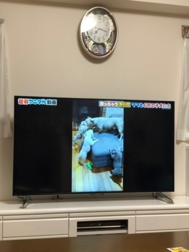 SHARP60インチ　動作良好