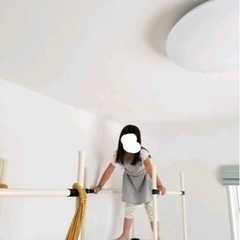 【他サイトお話中】イレクターパイプ　うんていの画像