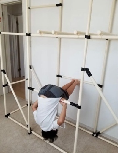 【他サイトお話中】イレクターパイプ　うんてい