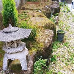 庭石の撤去