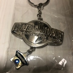 ユニバーサルスタジオシンガポール キーホルダーの画像