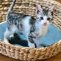 アーク♡家族ができました
