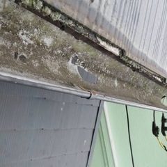 令和4年6月3日の雹で住宅被害に遭われた皆様、手出し0円で住宅を直しませんか⁇ - 越谷市
