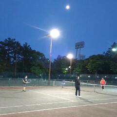 ☀7/9☀【社会人限定❗】🎾テニス会開催のお知らせ🎾 − 愛知県