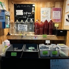 めだか、卵も販売しています！🥚
