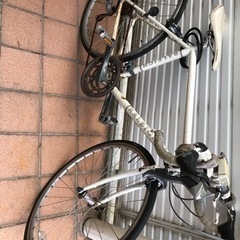 もらってください