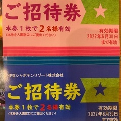 最安値2名様チケット6200円分 伊豆高原グランイルミ・フラワーガーデン・ニューヨークランプミュージアムの画像