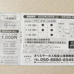 さくらサーカス 和泉公演 特別招待券 6枚セット 大阪府 和泉市 延長決定 ⑤の画像