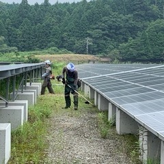 太陽光発電所での草刈り(愛媛県西予市)の画像