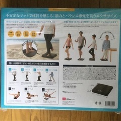 室内運動 BODY CORE 体幹エクサマット　の画像