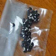アケビの種