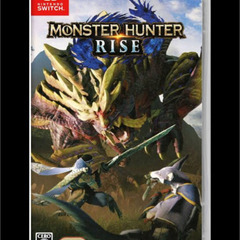 モンスターハンターライズ仲間募集