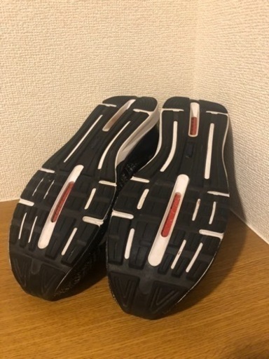 靴/バッグ PUMA IGNITE 26cm