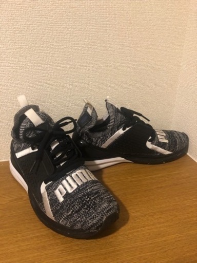 靴/バッグ PUMA IGNITE 26cm