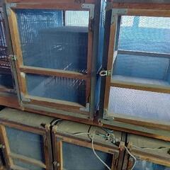 うぐいす、ホウジロ用の画像