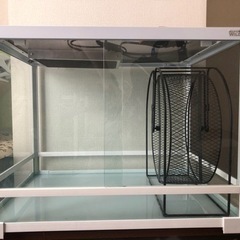 ハリネズミ飼育セット一式　パンテオン他