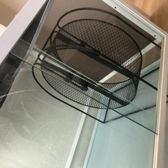 ハリネズミ飼育セット一式　パンテオン他の画像