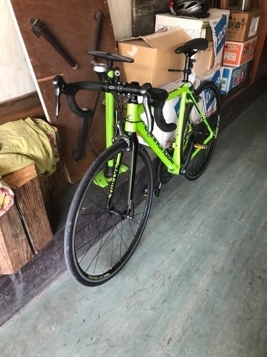 キャノンデール　サイズ50