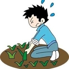🚚玄関先の草むしり　お庭の草むしり　実家の草むしり　お墓周りの草...