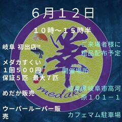 メダカ販売 メダカ掬い ウーパールーパー販売をします。