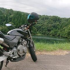 ホーネット250