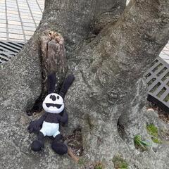 カラオケ行きませんか?