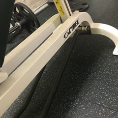 サイベックス　CYBEX インクラインベンチの画像