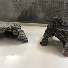 ザリガニ等の隠れ家の画像