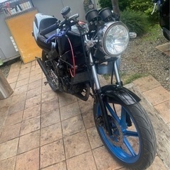 NS1の画像