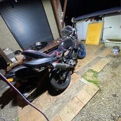 NS1の画像