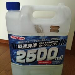 カーシャンプー
