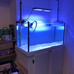 オーバーフロー水槽 引取り限定 福岡県