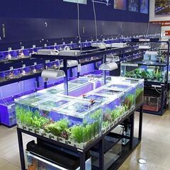 【正社員・アルバイト・パート大募集】ワンちゃんネコちゃんお魚や小動物のお世話や接客のお仕事の画像
