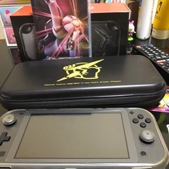 スイッチライト本体とカセット1個ダウンロードカセット2個