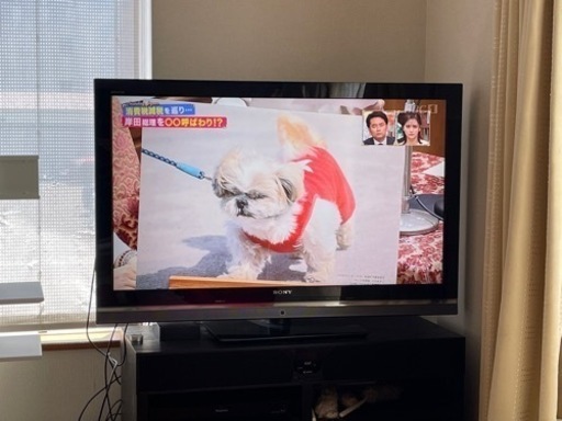 【お話中】46インチ ソニー/SONY テレビ BRAVIA KDL-46V5 2009年製
