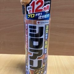 シロアリ駆除