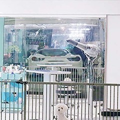 トリマーさん大募集！！！の画像