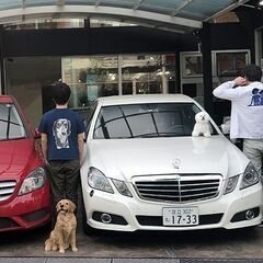 トリマーさん大募集！！！の画像